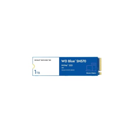Western Digital WD Blue SN570 (PART NUMBER: WDS100T3B0C)