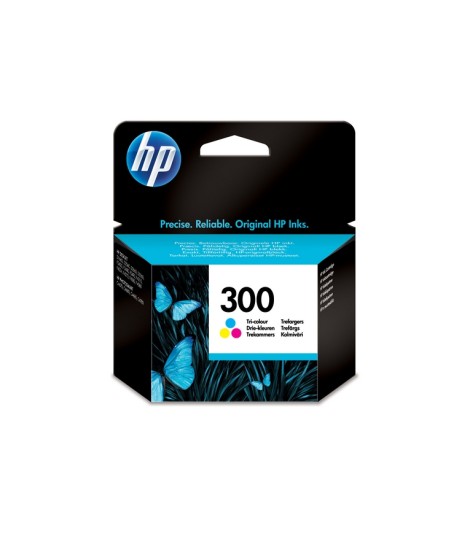 CARTUCCIA COLORE N 300...
